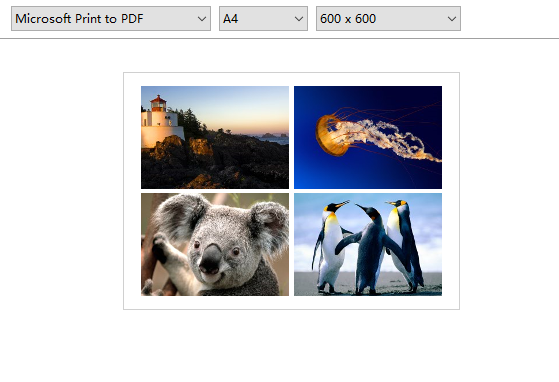 photo-to-pdf-album
